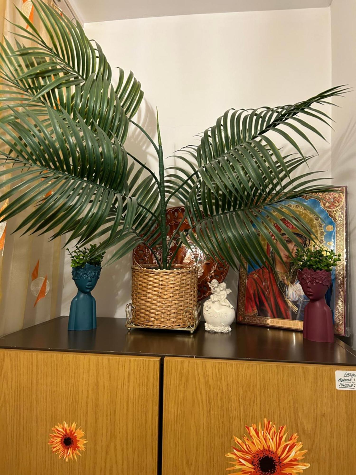 Casa Raraului Appartement Câmpulung Moldovenesc Buitenkant foto