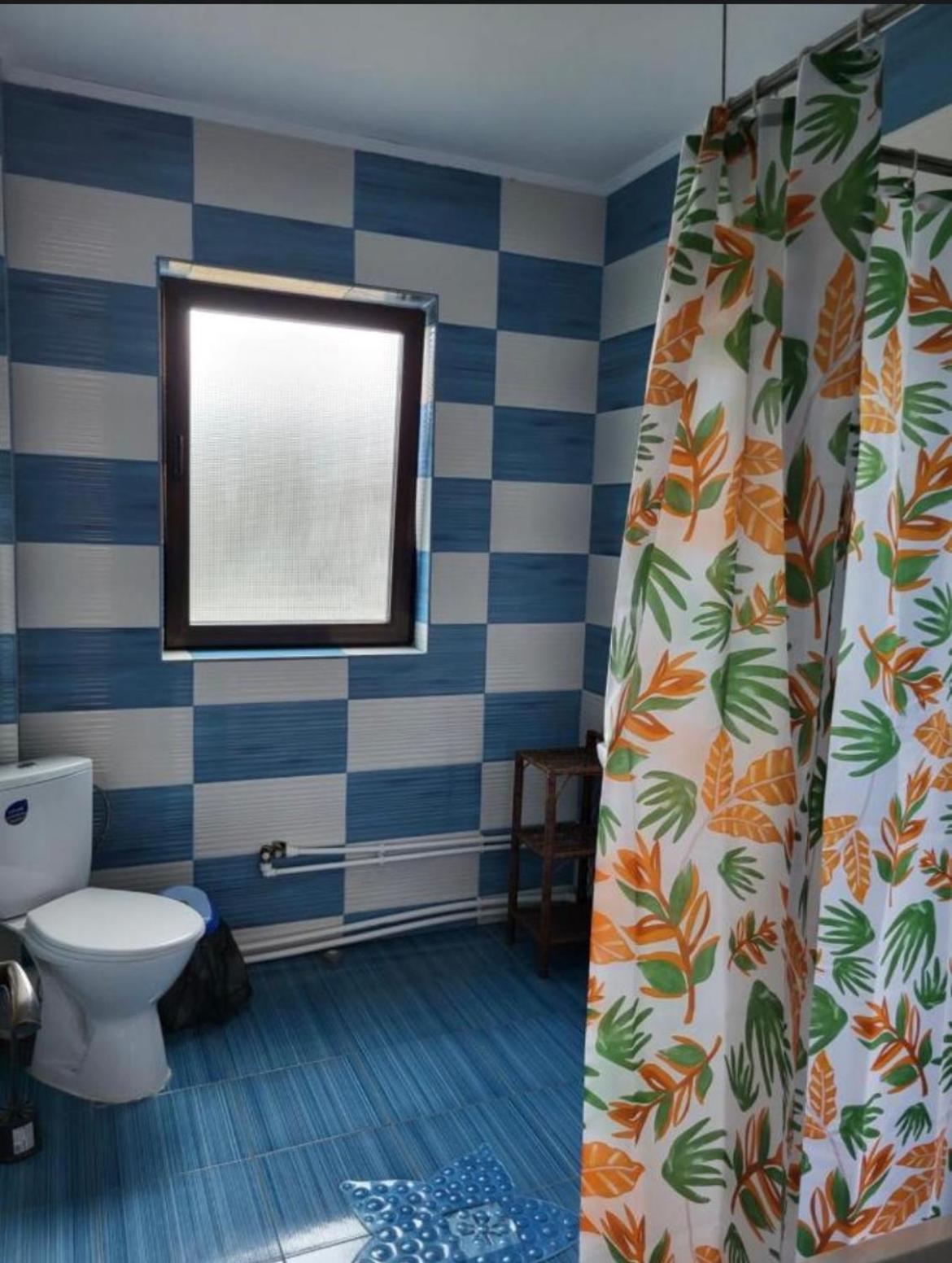 Casa Raraului Appartement Câmpulung Moldovenesc Buitenkant foto