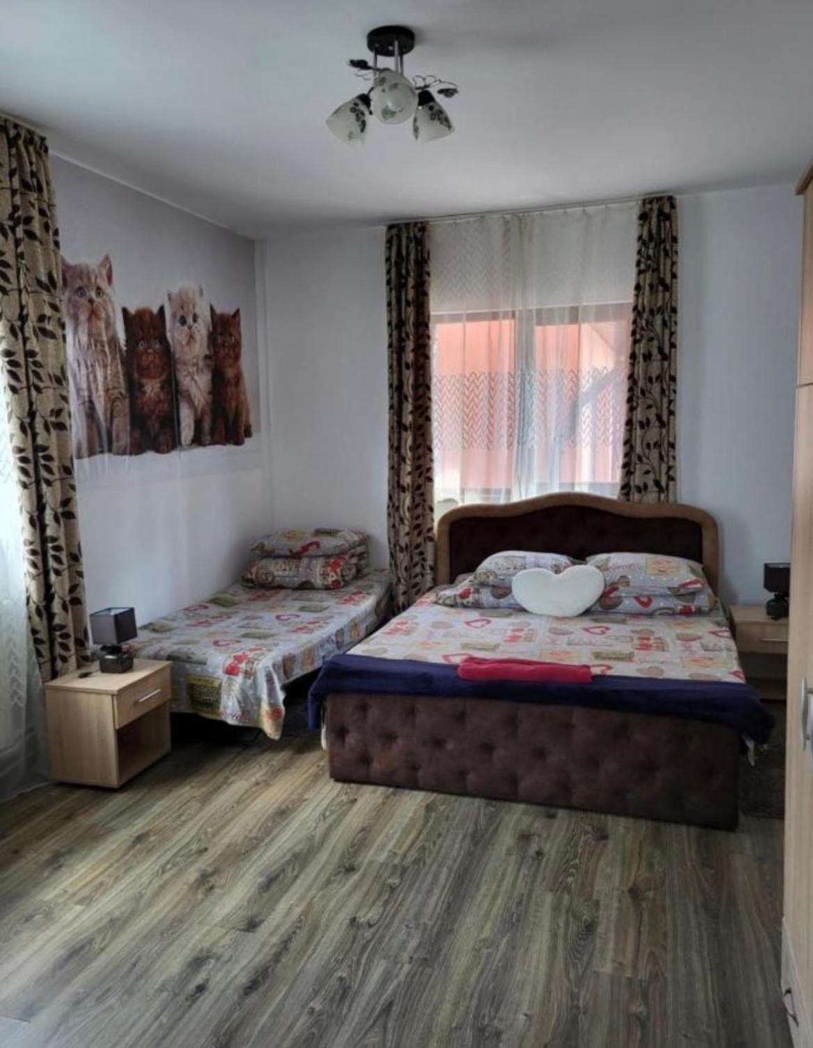 Casa Raraului Appartement Câmpulung Moldovenesc Buitenkant foto