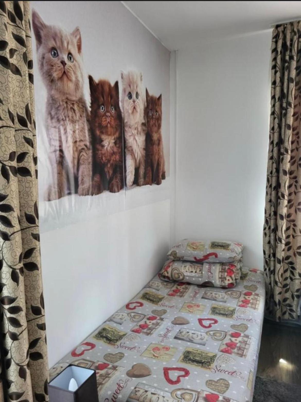 Casa Raraului Appartement Câmpulung Moldovenesc Buitenkant foto