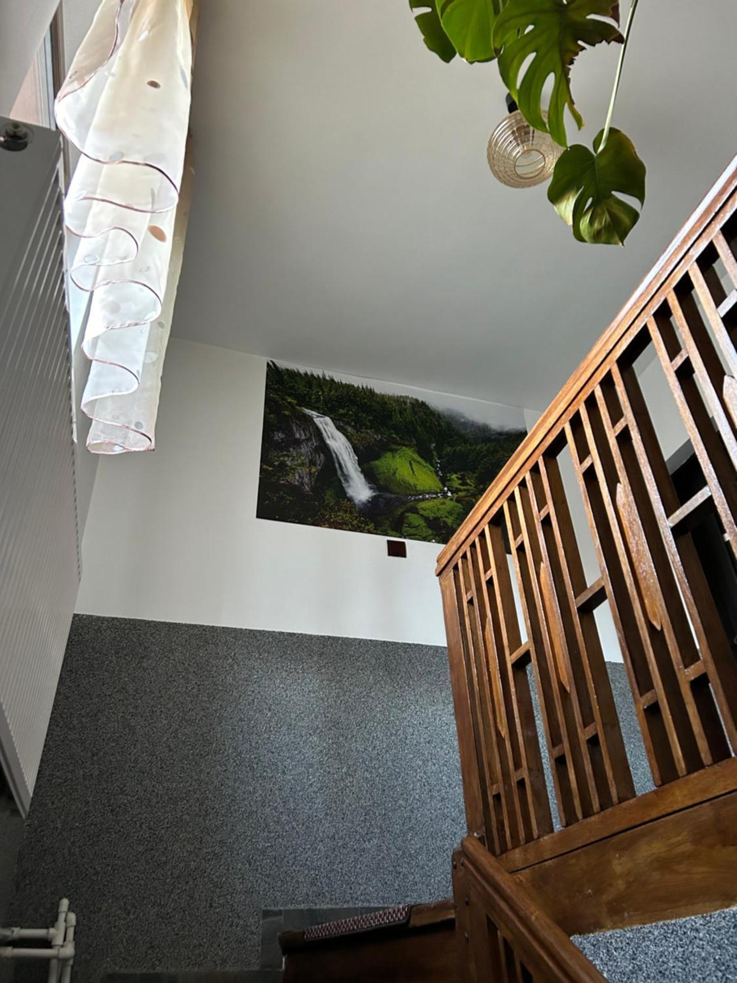 Casa Raraului Appartement Câmpulung Moldovenesc Buitenkant foto